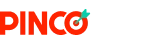 Logo www.pinco-login.tech